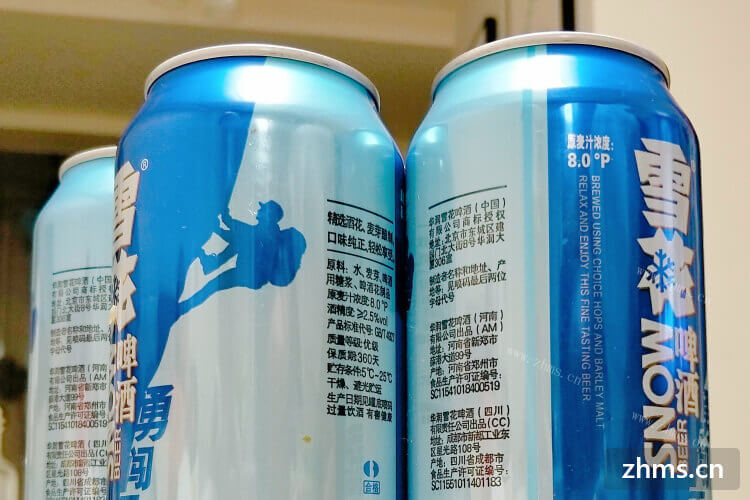 超市里想进进点啤酒，谁知道北海道啤酒品牌有哪些？