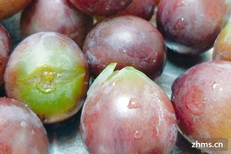 早熟葡萄