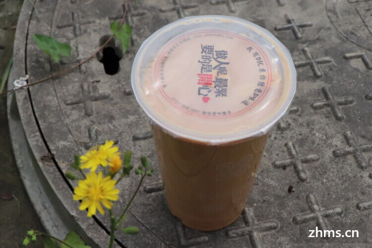 中国市场上有哪些品牌奶茶店？ 最适合保定市场的是哪一个？