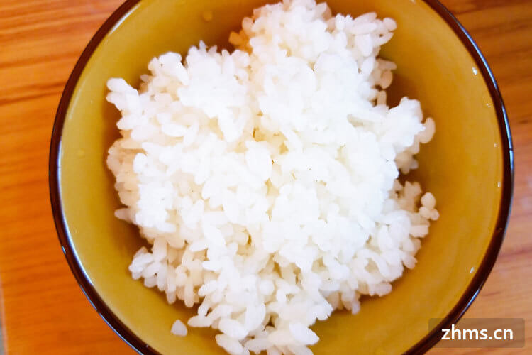 大米是淀粉类食物吗