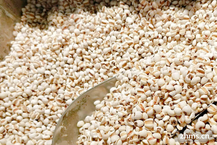 红豆薏米水怎么煮