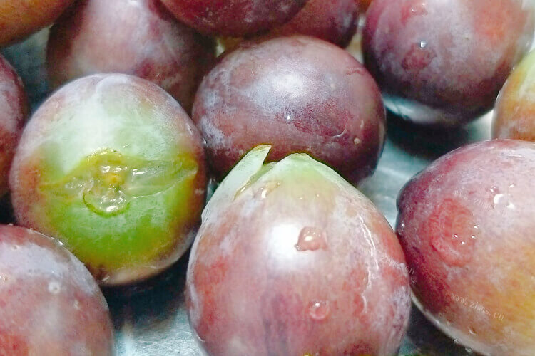 想种植一些老葡萄，老葡萄品种绿色有哪些？