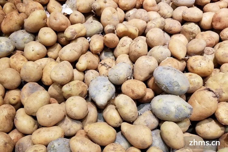 发了芽的土豆能吃吗?