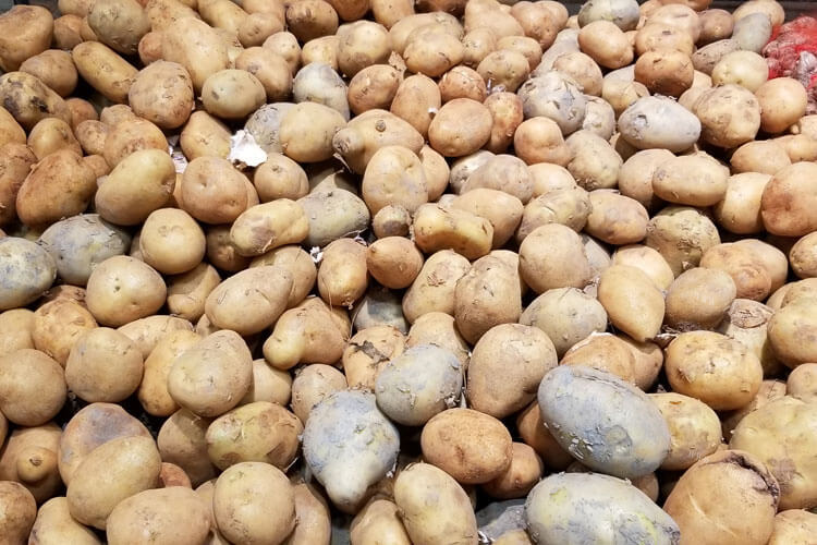 土豆是很多人喜欢吃的菜，土豆种子保存方法是什么呢？