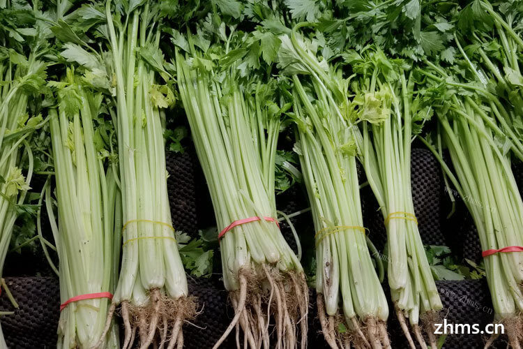 芹菜根可以吃吗，芹菜根怎么吃好吃？