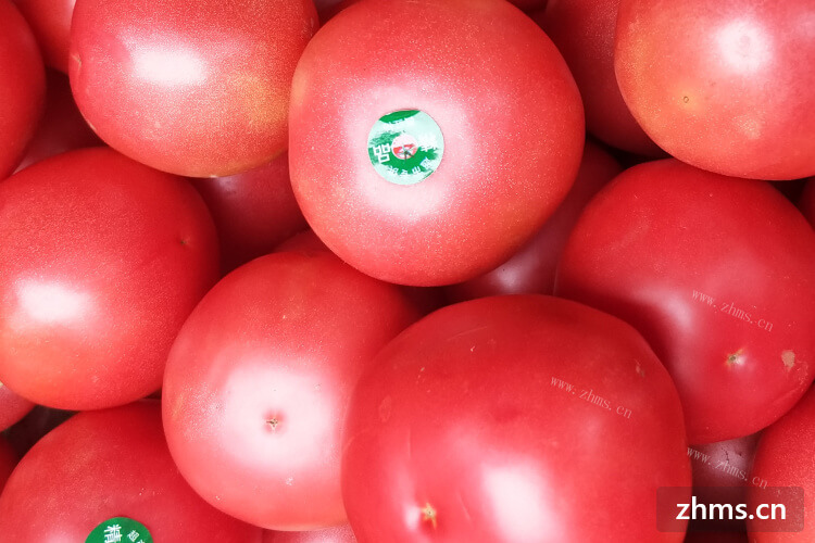 想买一些西红柿回家炖着吃，可是西红柿怎么炖呢？
