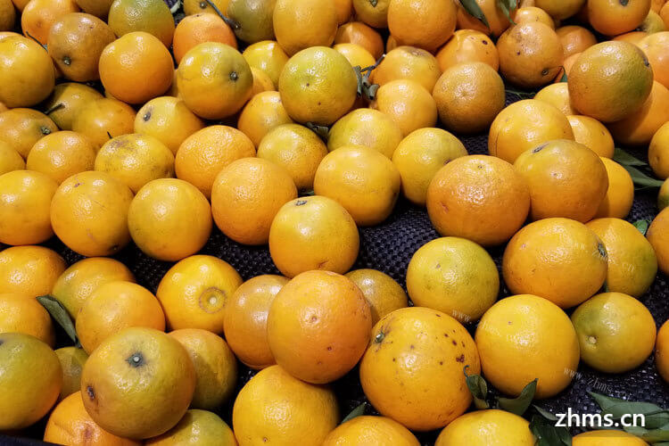 现在可以吃橙子了，但想关心一下金堂脐橙多少钱一斤？