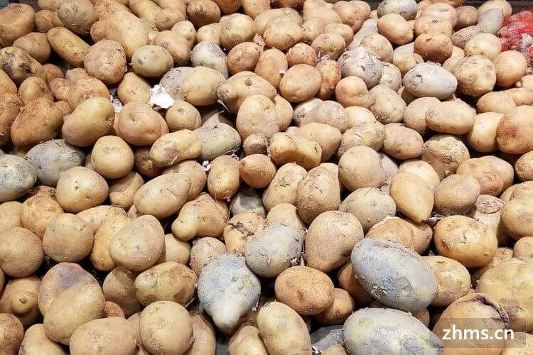 怎样保存土豆不发芽发青