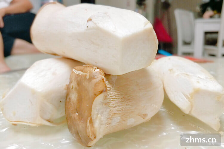 素炒杏鲍菇的家常做法有哪些？素炒杏鲍菇的哪种做法最简单？