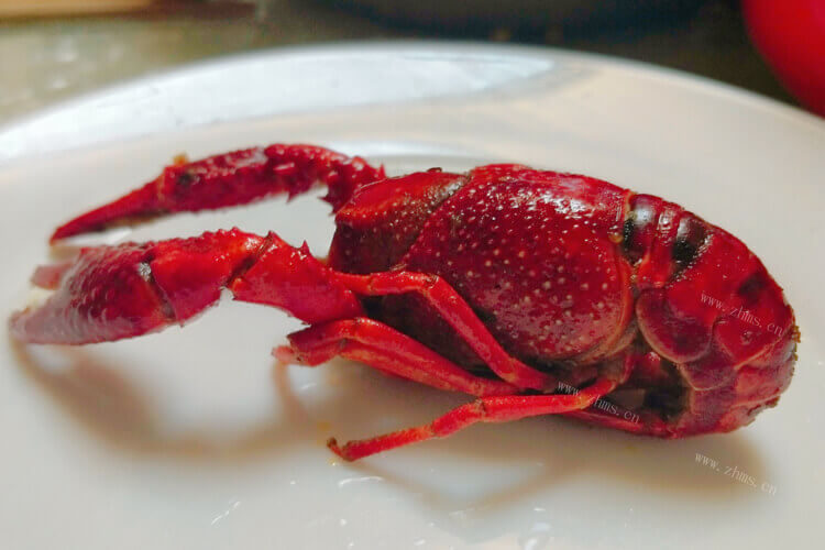 突然想吃海鲜，不知道帝王蟹好吃还是波士顿龙虾好吃吗？