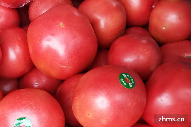 西红柿与哪些相克