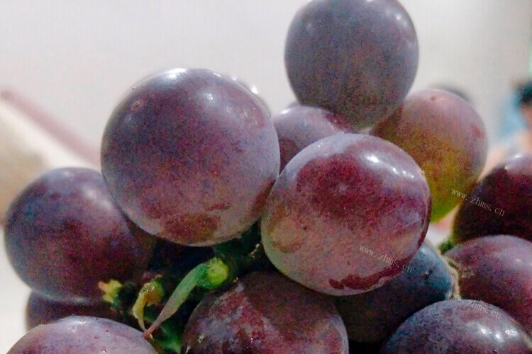 绿色无核葡萄是什么品种，有人知道吗？