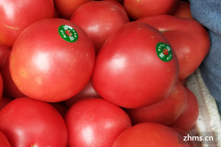 西红柿壮阳吗