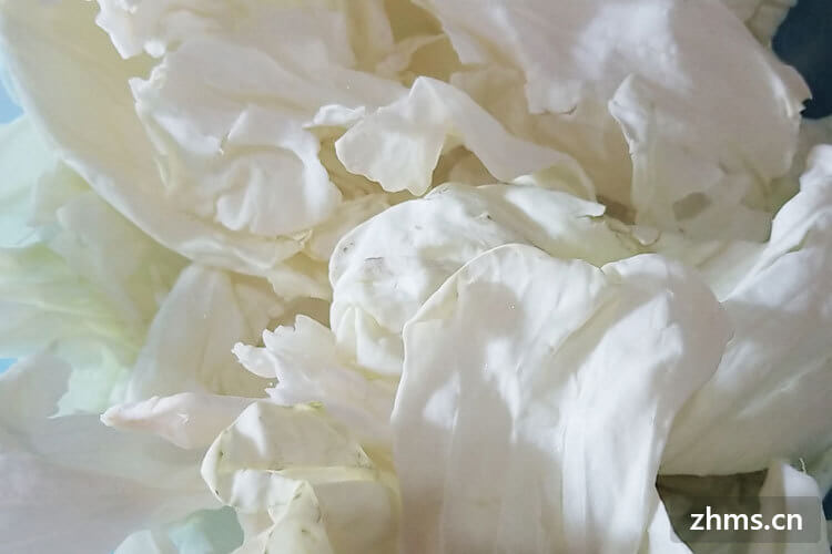 怎么炒手撕包菜 怎么炒手撕包菜