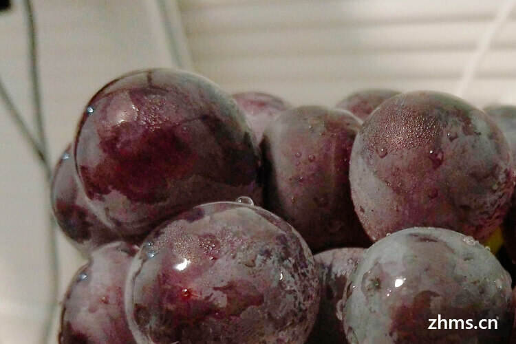 世界上最贵的八种葡萄你知道吗？