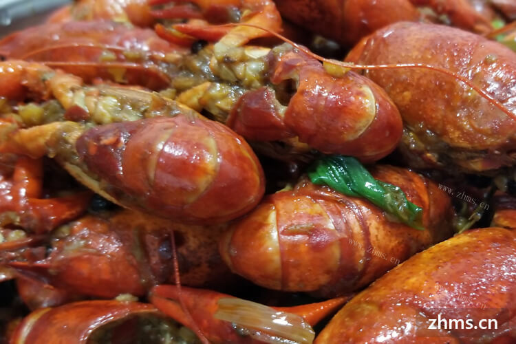 想知道一下小胖子龙虾小龙虾加盟费是多少钱？