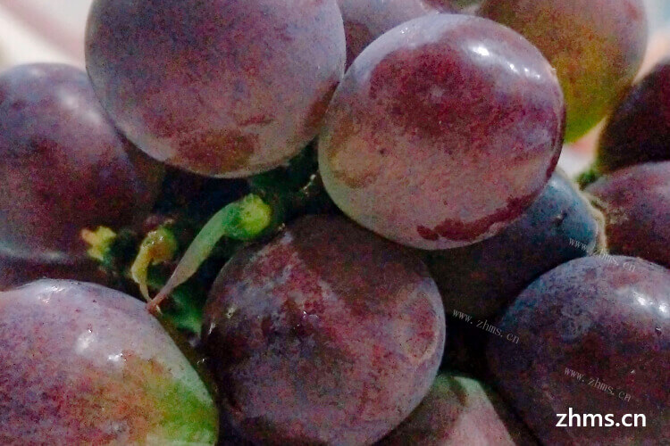 葡萄的品种很多，颜色也很多，市面上葡萄有几种颜色？
