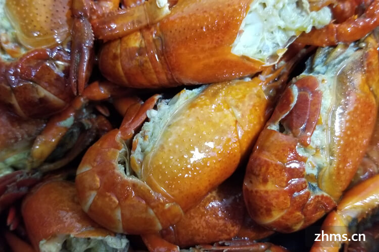 龙虾属于海鲜还是河鲜