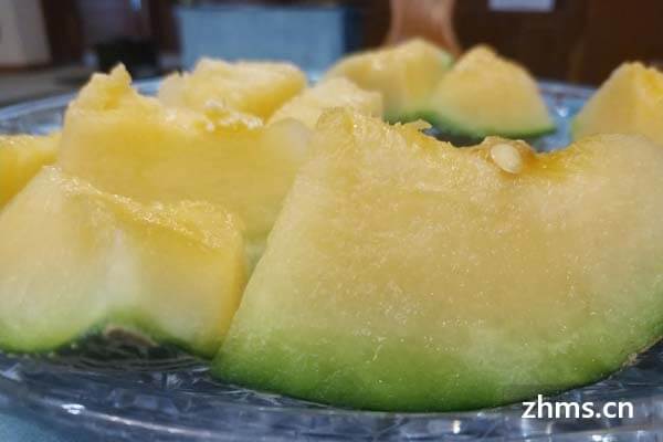 经常吃哈密瓜 经常吃哈密瓜