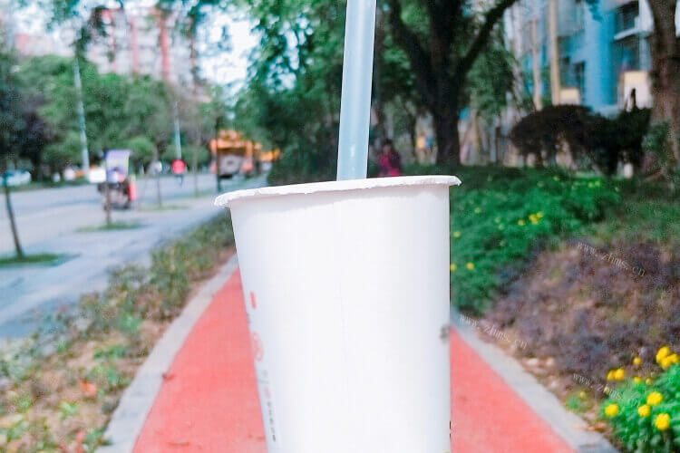 奶茶啵啵什么意思，不太懂这些网络用语呢？
