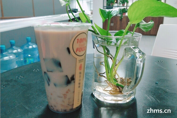 连锁店最多的奶茶品牌有哪些
