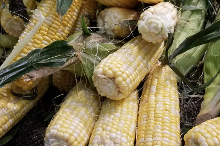 摘了一点玉米黄豆，玉米黄豆红萝卜排骨汤怎么做香味比较好？