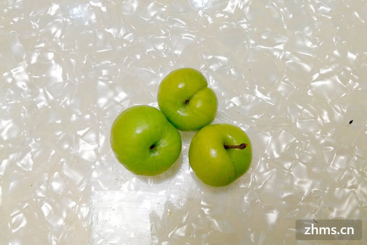 想尝尝广西的李子，广西李子品种有哪些比较好吃？