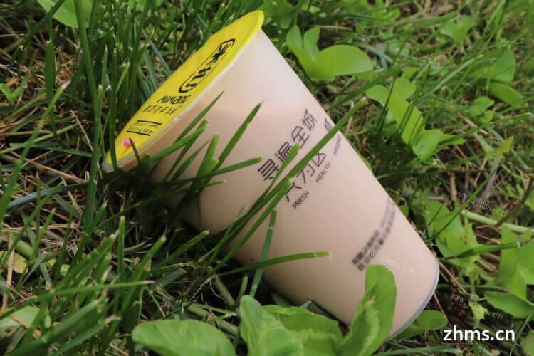 湖北加盟日式奶茶加盟品牌，需要什么加盟条件?
