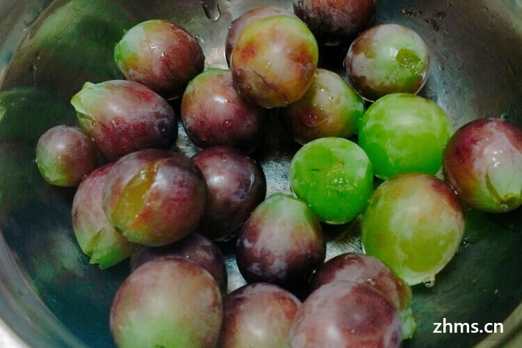 常见的红葡萄品种