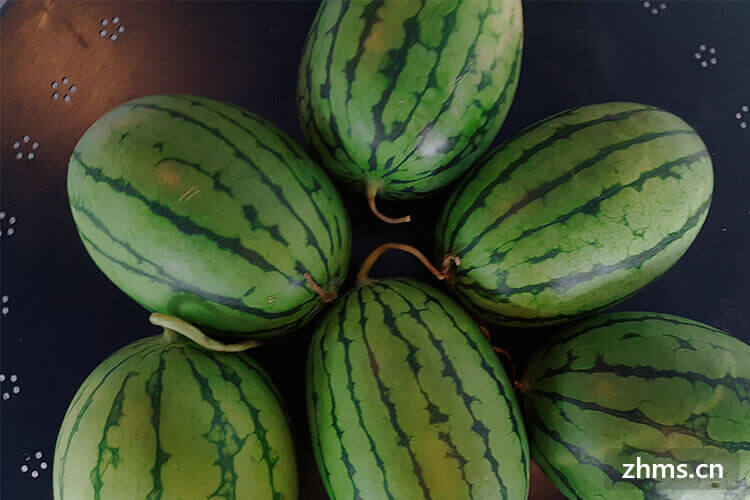 最甜西瓜有几个品种