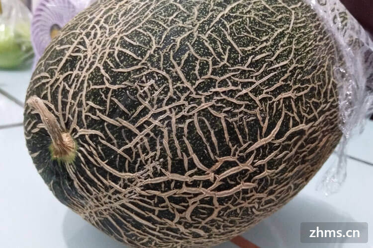 新疆的哈密瓜产地有哪些？怎样挑选好吃的哈密瓜？