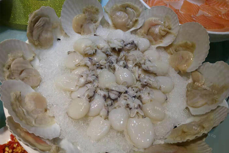 今天要蒸扇贝吃，蒸扇贝时间要多久？