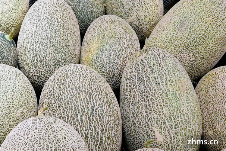 想批发一些哈密瓜，潍坊哈密瓜产地的哈密瓜好吃吗？