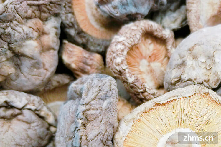 香菇有一种芬芳的物质可以让人口齿生香，香菇炒肉香菇怎么切
