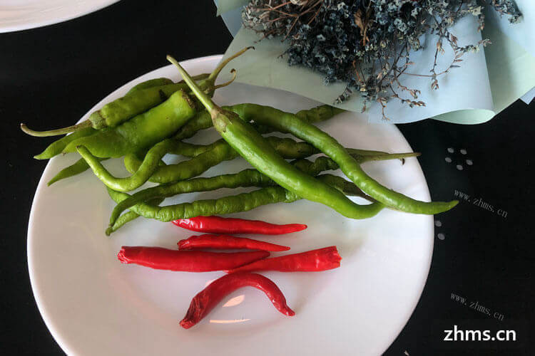 对青椒的做法不太了解，青椒怎么吃比较好吃？