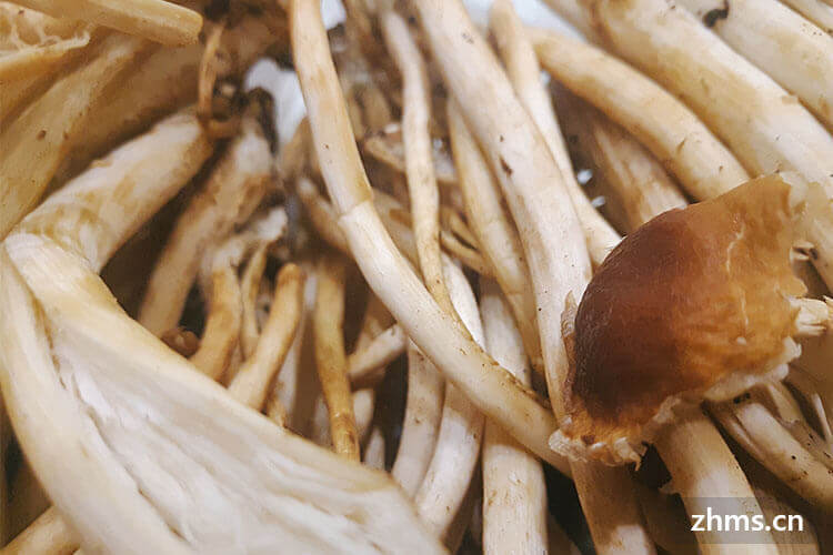 蘑菇竹笋，怎么把他们结合在一起呢？你一定想不到