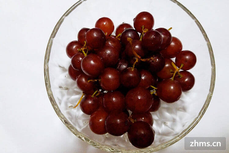 夏黑葡萄是转基因葡萄吗