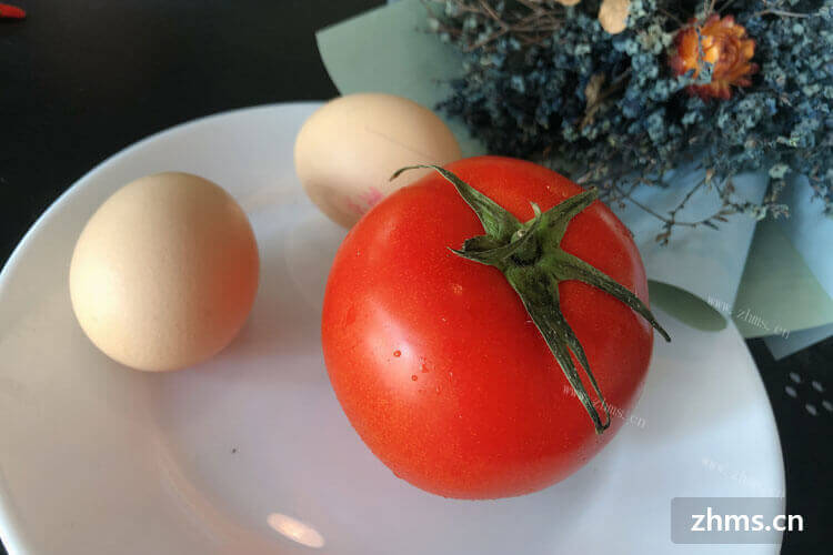 西红柿炒鸡蛋容易胖吗？经常吃番茄炒蛋，不知道会不会发胖