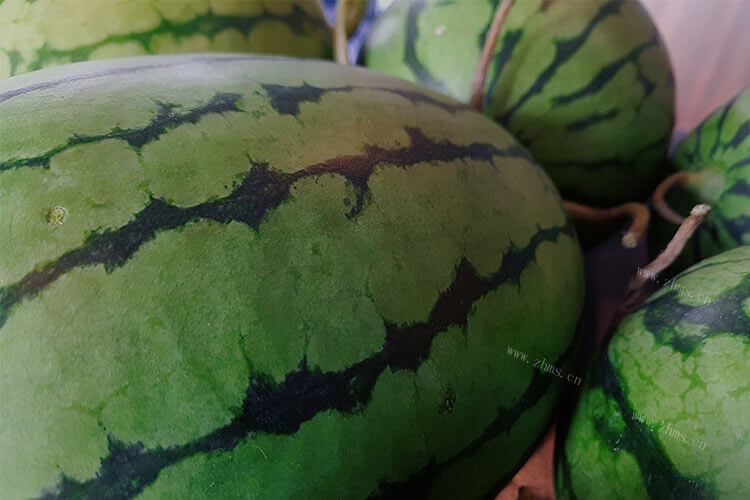 芒种是一个特别的节气，芒种时节多吃西瓜吗？