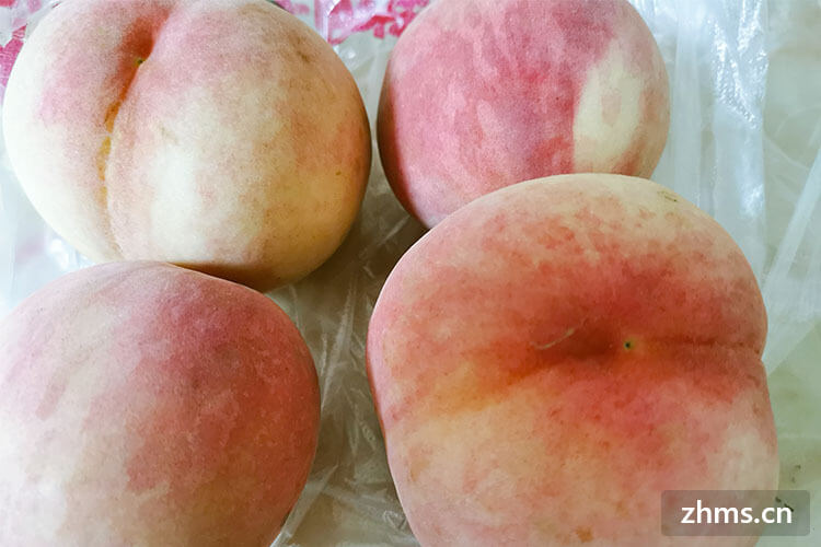 中国最脆甜的桃品种有哪些？