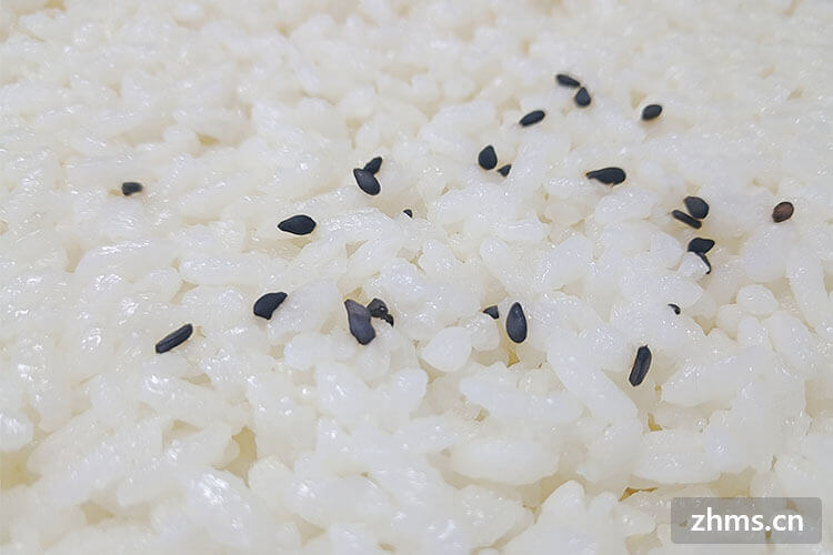米饭配菜素菜