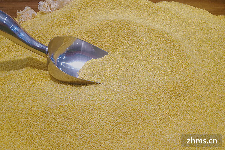 黄小米和小米的区别有哪些？