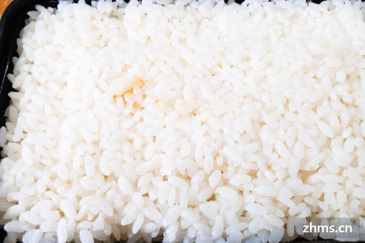 米饭的做法大全