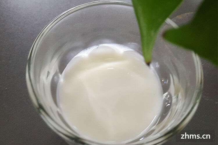 用酸奶发酵酸奶怎么做