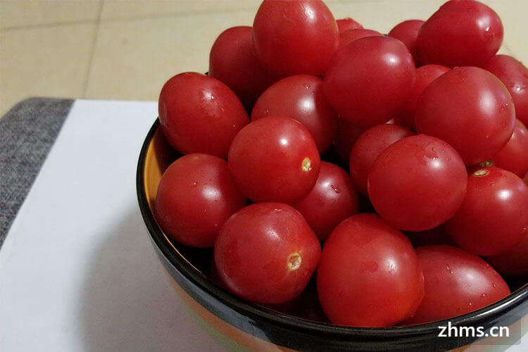 圣女果与西红柿的区别都有哪些呢？