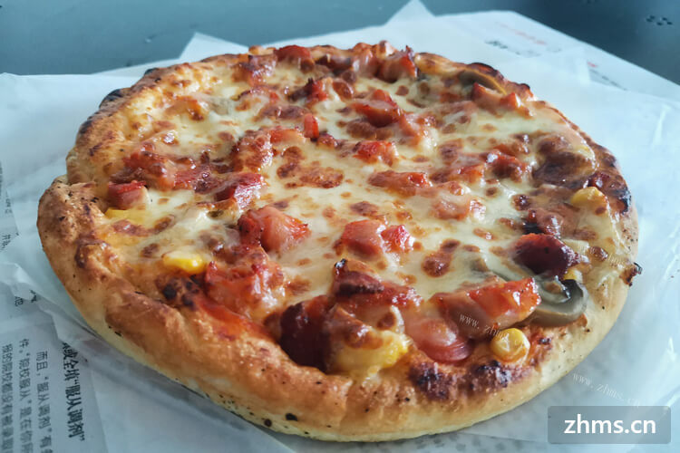 想问一下意纯意式披萨怎么样？