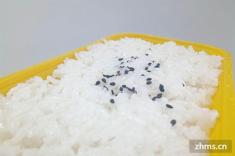 不吃米饭能减肥吗