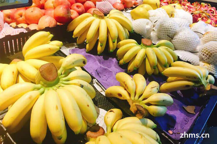 海南香蕉的简介以及海南香蕉的营养价值有哪些？