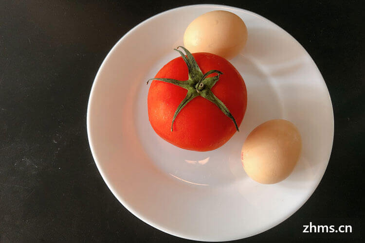 西红柿有什么营养