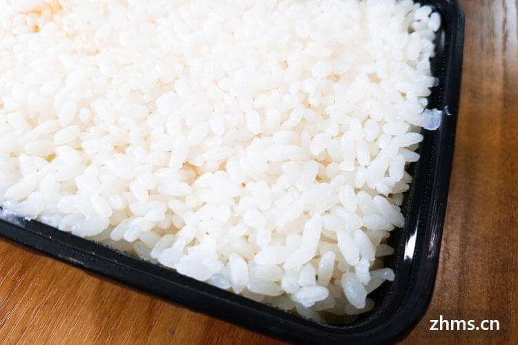 米饭可以冷冻保存吗